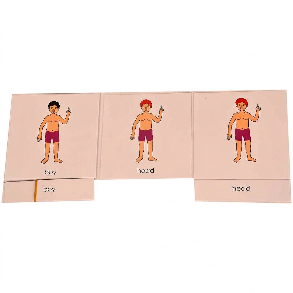 Nomenclature cards – Boy
