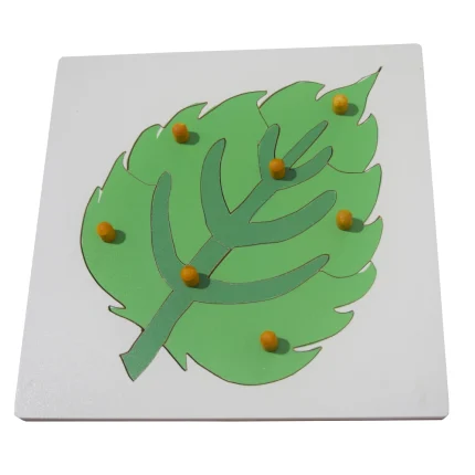 Leaf Puzzle