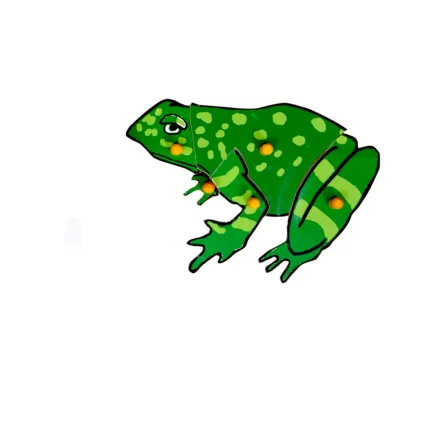 Frog Puzzle