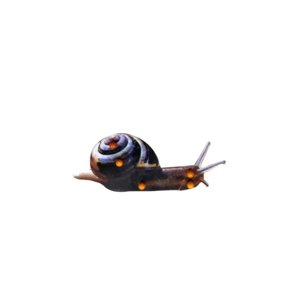 Snail Puzzle