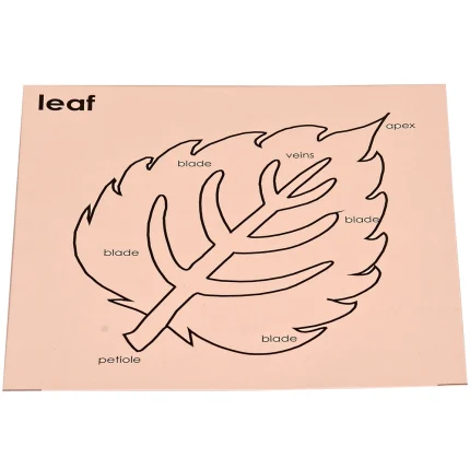 Control Card – Leaf Puzzle