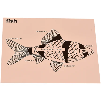 Control cards for Fish Puzzle